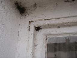 edencottages - 5169.jpg